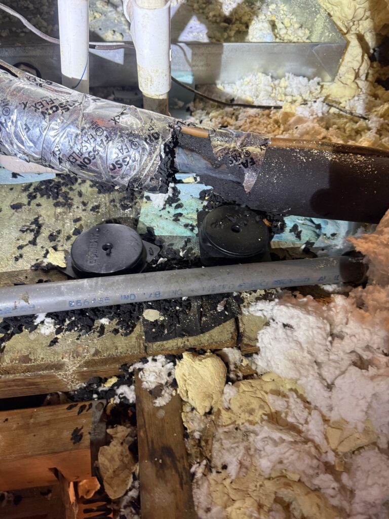 Existing attic insulation and surrounding framing