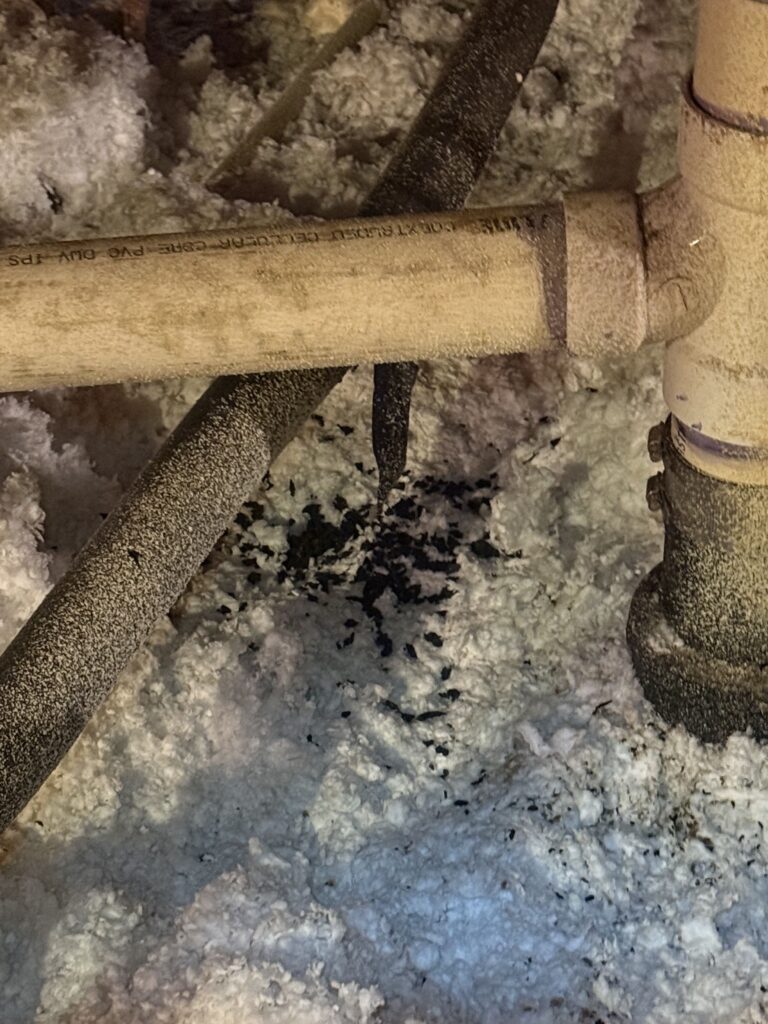 Existing attic insulation and surrounding framing